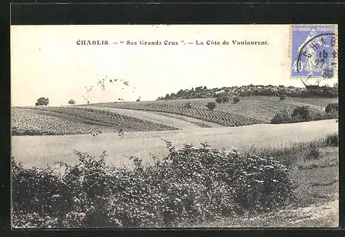 AK Chablis, Vue Generale, Ses Grands Crus, La Cote de Vaulaurent