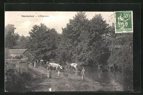 AK Montacher, L`Abreuvoir, Kühe trinken im Bach