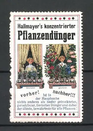 Reklamemarke Hallmayer's konzentrierter Pflanzendünger, Frau mit Blumen am Fenster, Vorher & Nachher Vergleich