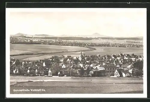 AK Walddorf i. Sa., Panoramablick auf den Ort