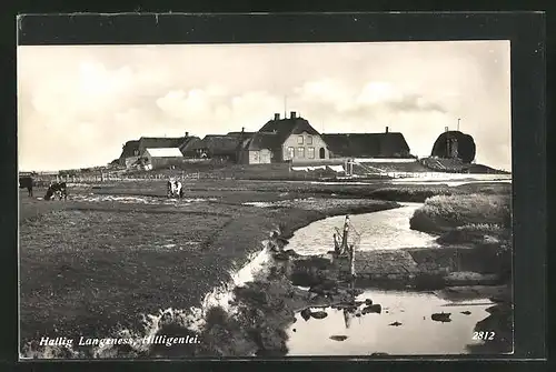 AK Hallig Langeness, Hilligenlei