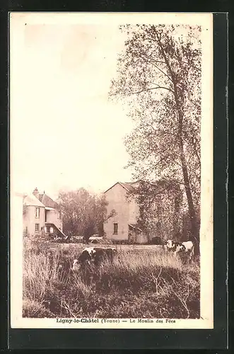 AK Ligny-le-Chatel, Le Moulin des Fees