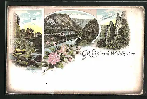 Lithographie Thale, Hotel Waldkater, Freundschaftsdenkmal & Hirschgrund