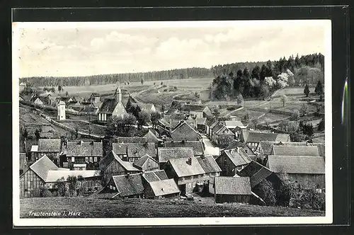 AK Trautenstein / Harz, Blick von der Bergwiese auf den Ort