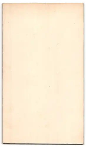 Fotografie A. Lüttge, Leutzsch, Hauptstr. 34, Portrait junger Knabe im feinen Anzug mit Melone und Bibel