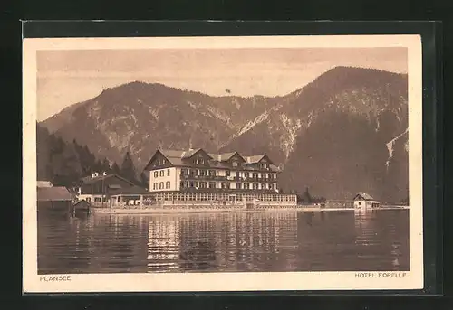 AK Breitenwang, Hotel Forelle am Plansee