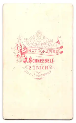 Fotografie J. Schneebeli, Zürich, Storchengasse 8, Portrait alte Frau im Biedermeierkleid mit Haube