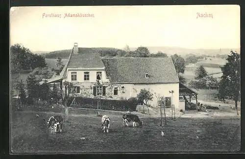 AK Aachen, Forsthaus Adamshäuschen mit Weide und Kühen