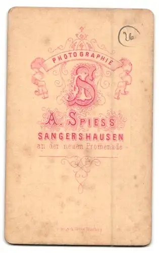 Fotografie A. Spiess, Sangerhausen, An der neuen Promenade, Kleinkind in kariertem Kleidchen