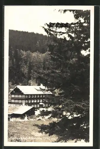 AK Hirschegg, Alpengasthof-Auenhütte im Schnee