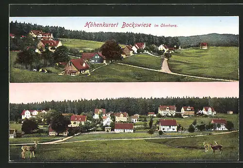 AK Bockswiese i. Oberharz, Ortsansicht mit Wald und Rehen