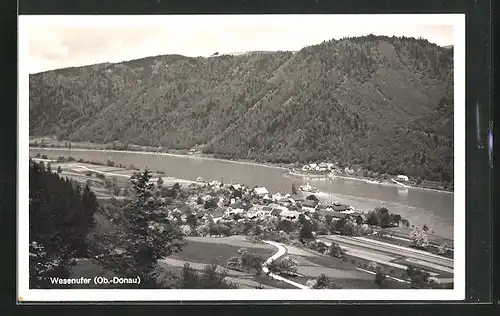 AK Wesenufer / Donau, Gesamtansicht