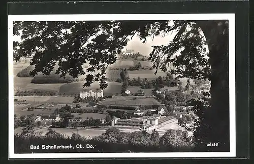 AK Bad Schallerbach /Ob.-Do., Ortspartie mit Baum