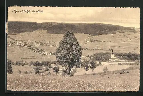 AK Aigen-Schlägl, Ortspartie mit Baum