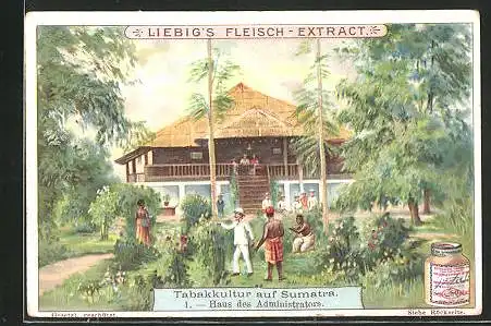 Sammelbild Liebig, Tabakkultur auf Sumatra, 1. Haus des Administrators