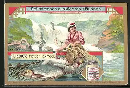 Sammelbild Liebig, Delicatessen aus Meeren u. Flüssen, Lachs