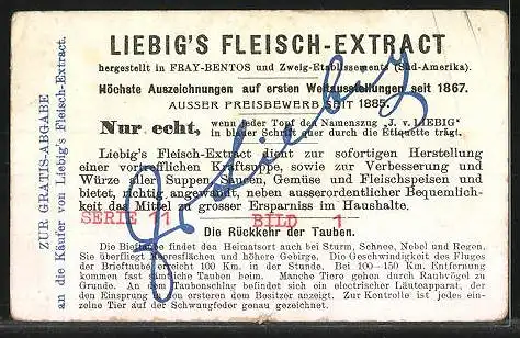 Sammelbild Liebig, Die Breiftaube, Rückkehr der Tauben