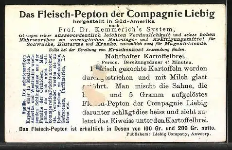 Sammelbild Liebig, Gewürzpflanzen, Vanille (Vanilla planifolia), Blüte, Frucht