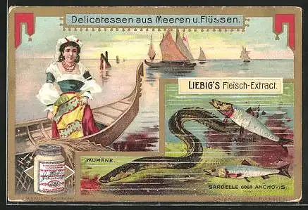Sammelbild Liebig, Delicatessen aus Meeren und Flüssen, Muräne, Sardelle oder Anchovis