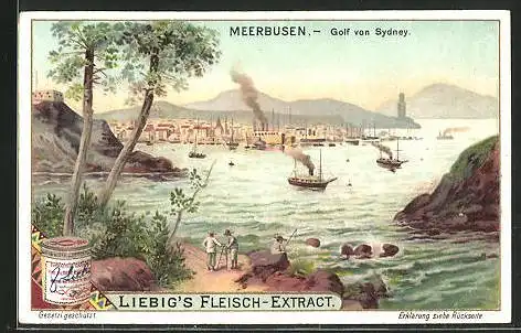 Sammelbild Liebig, Meerbusen, Golf von Sydney, Hafen