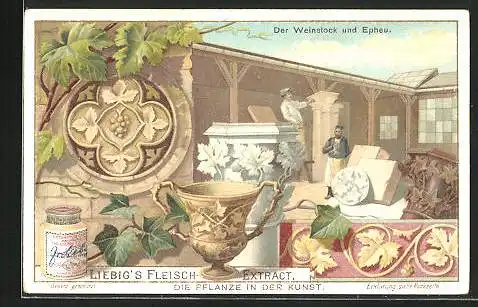 Sammelbild Liebig, Die Pflanze in der Kunst, Der Weinstock und Efeu
