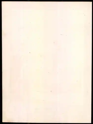 Lithographie Kaiserthum Österreich, Ungar. Grenadiere, altkoloriert, montiert, aus Eckert & Monten um 1840 Vorzugsausgab