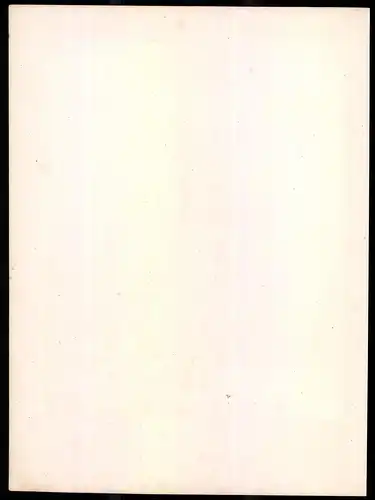 Lithographie Kaiserthum Österreich, Ungar. Gren., altkoloriert, montiert, aus Eckert & Monten um 1840 Vorzugsausgabe
