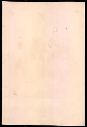 Lithographie Grand Duché Meckelbourg Schwerin, altkoloriert, montiert, aus Eckert & Monten um 1840 Vorzugsausgabe