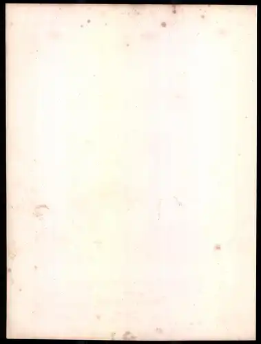 Lithographie Kaisertum Österreich, Fuhrwesen, altkoloriert, montiert, aus Eckert & Monten um 1840 Vorzugsausgabe