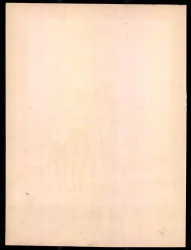 Lithographie Kaisertum Österreich, Racketencorps, altkoloriert, montiert, aus Eckert & Monten um 1840 Vorzugsausgabe