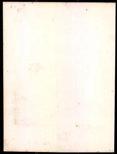 Lithographie Kaisertum Österreich, Husaren, altkoloriert, montiert, aus Eckert & Monten um 1840 Vorzugsausgabe