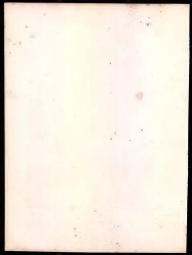 Lithographie Kaisertum Österreich, Pionniers, altkoloriert, montiert, aus Eckert & Monten um 1840 Vorzugsausgabe