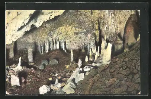 AK Rübeland (Harz), Hermannshöhle - Der Wald