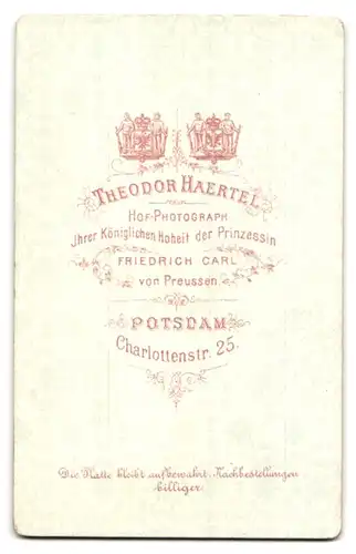 Fotografie Theodor Haertel, Potsdam, Charlottenstrasse 25, Portrait bürgerliche Dame im Kleid