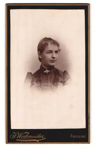 Fotografie J. Werkmeister, Freising, Amtsgerichtsgasse 445, Portrait junge Dame im Kleid mit Kragenbrosche