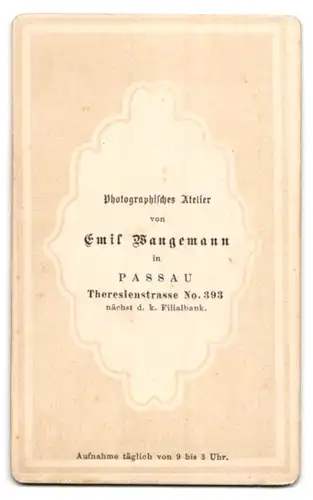 Fotografie Emil Wangemann, Passau, Theresienstrasse 393, Portrait bürgerliche Dame mit Kragenbrosche