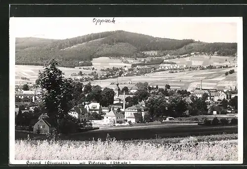 AK Oppach /Oberlausitz, Ortsansicht vom Feld