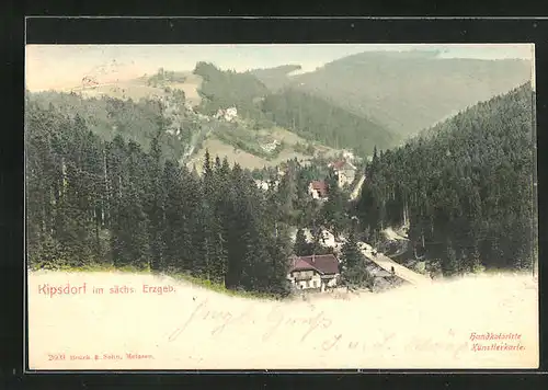 AK Kipsdorf i. sächs. Erzg., Blick auf den friedlichen Ort im Tal