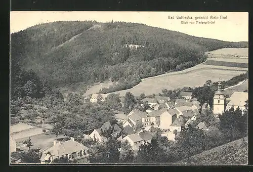 AK Bad Gottleuba, Blick vom Mariengründel
