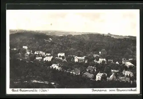 AK Bad Freienwalde /Oder, Panorama vom Brunnenthal