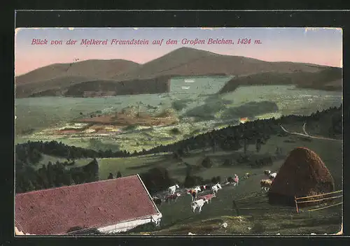 AK Grosser Belchen, Blick von der Melkerei Freundstein auf den Berg
