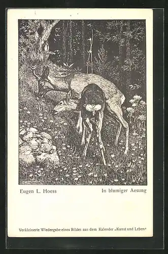 Künstler-AK Eugen Ludwig Hoess: Rehe in blumiger Aesung