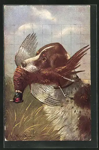 Künstler-AK August Müller - München: Jagdhund mit erlegtem Fasan