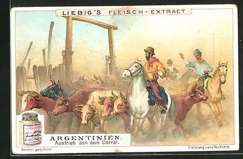 Sammelbild Liebig, Liebig`s Fleisch-Extract, Argentinien, Austrieb aus dem Corral