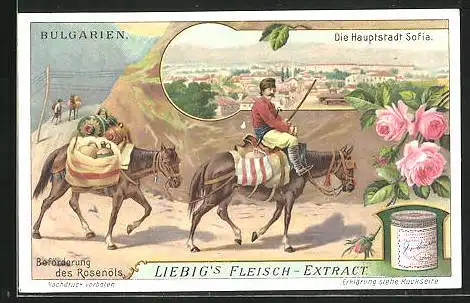 Sammelbild Liebig, Liebigs Fleisch-Extract, Sofia, Panorama, Mann auf Pferd mit Lasten