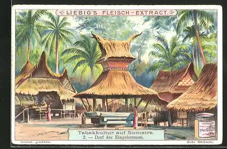 Sammelbild Liebig, Tabakkultur auf Sumatra, 2. Dorf der Eingeborenen