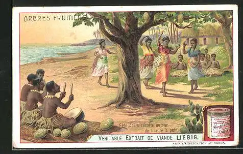 Sammelbild Liebig, Arbres Fruitieres, Fête de la récolte autour de l`arbre à pain