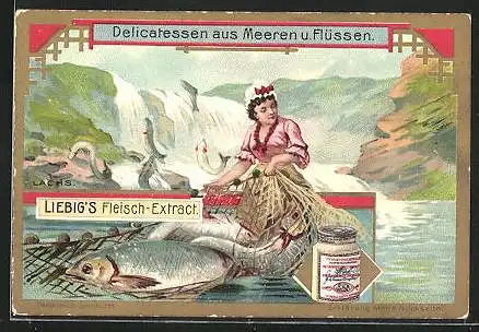 Sammelbild Liebig, Delicatessen aus Meeren und Flüssen, Lachs