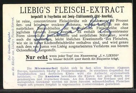 Sammelbild Liebig, Delicatessen aus Meeren und Flüssen, Miesmuschel und Auster