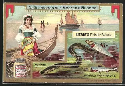 Sammelbild Liebig, Delicatessen aus Meeren und Flüssen, Muräne, Sardine, Anchovis